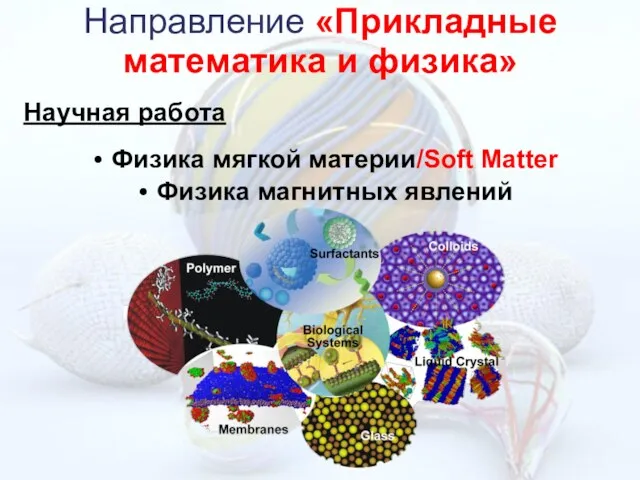 Научная работа Физика мягкой материи/Soft Matter Физика магнитных явлений Направление «Прикладные математика и физика»