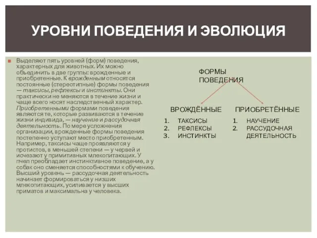 Выделяют пять уровней (форм) поведения, характерных для животных. Их можно