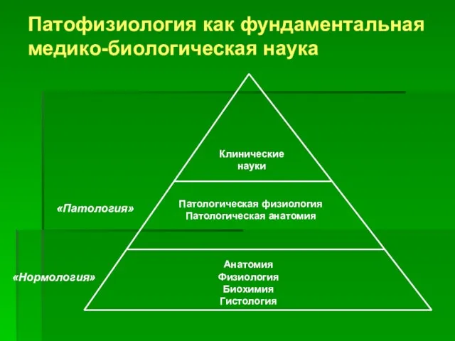 Патофизиология как фундаментальная медико-биологическая наука Клинические науки Анатомия Физиология Биохимия