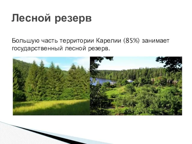 Лесной резерв Большую часть территории Карелии (85%) занимает государственный лесной резерв.