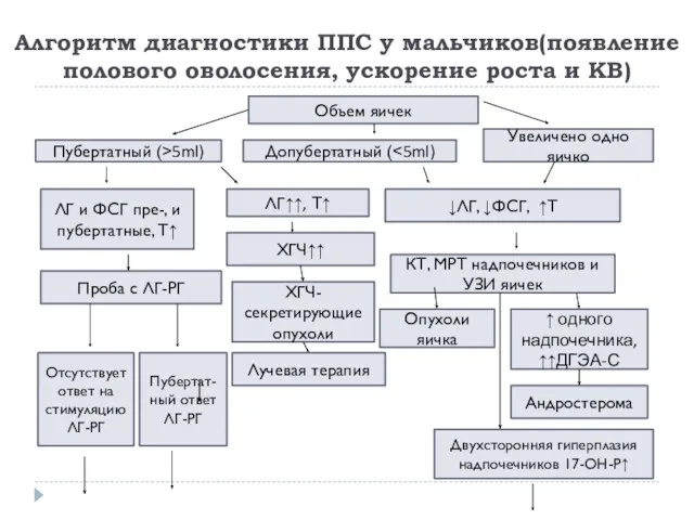 Алгоритм диагностики ППС у мальчиков(появление полового оволосения, ускорение роста и КВ) Объем яичек