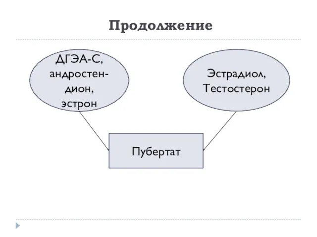 Продолжение Пубертат ДГЭА-С, андростен-дион, эстрон Эстрадиол, Тестостерон