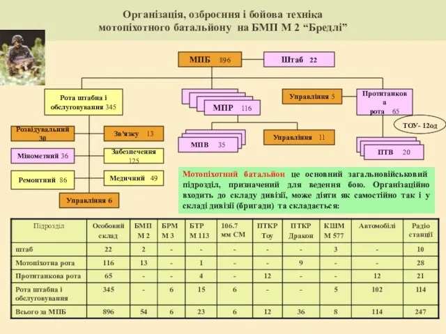 Організація, озброєння і бойова техніка мотопіхотного батальйону на БМП М