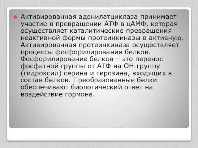 Активированная аденилатциклаза принимает участие в превращении АТФ в цАМФ, которая