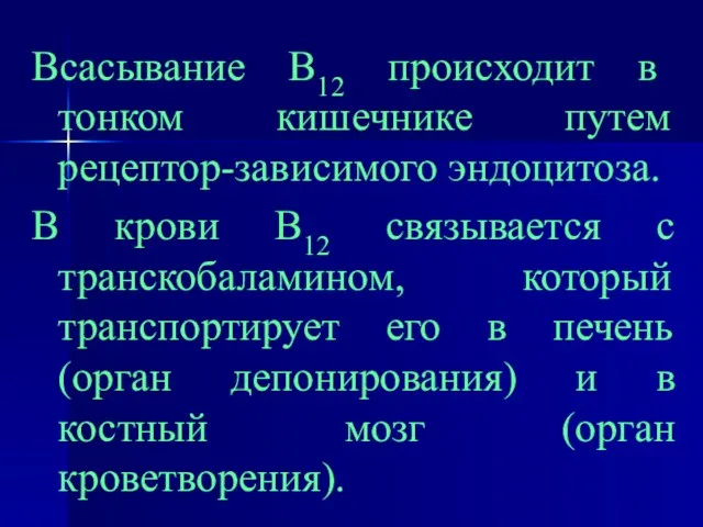 Всасывание В12 происходит в тонком кишечнике путем рецептор-зависимого эндоцитоза. В