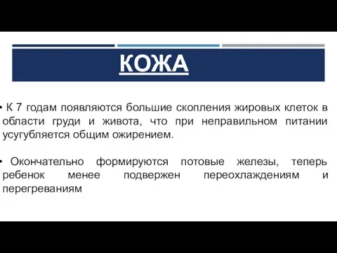 КОЖА К 7 годам появляются большие скопления жировых клеток в