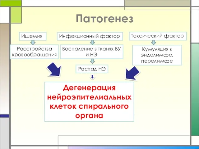 Патогенез Ишемия Расстройства кровообращения Инфекционный фактор Воспаление в тканях ВУ