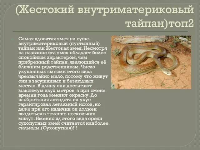(Жестокий внутриматериковый тайпан)топ2 Самая ядовитая змея на суше- внутриматериковый (пустынный)