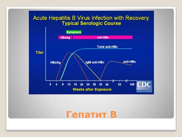 Гепатит В