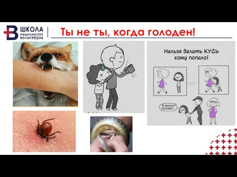 Ты не ты, когда голоден!