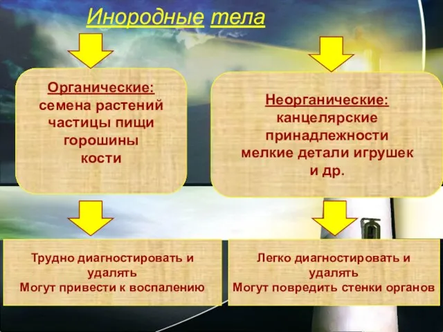 Инородные тела Органические: семена растений частицы пищи горошины кости Неорганические: