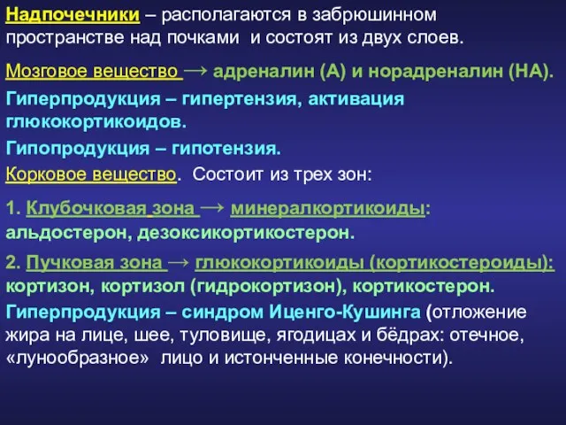 Надпочечники – располагаются в забрюшинном пространстве над почками и состоят