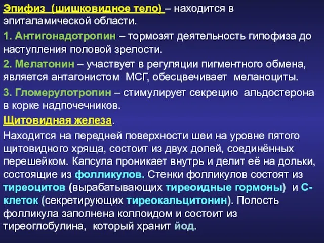 Эпифиз (шишковидное тело) – находится в эпиталамической области. 1. Антигонадотропин