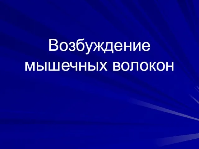 Возбуждение мышечных волокон