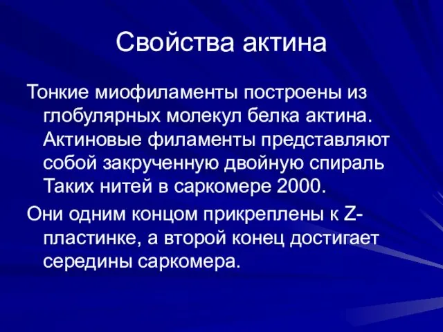 Свойства актина Тонкие миофиламенты построены из глобулярных молекул белка актина.