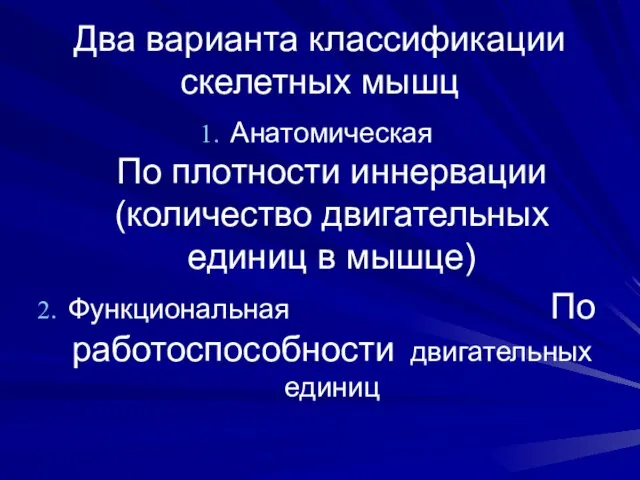 Два варианта классификации скелетных мышц Анатомическая По плотности иннервации (количество