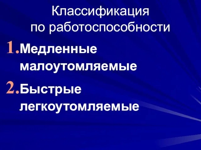 Классификация по работоспособности Медленные малоутомляемые Быстрые легкоутомляемые