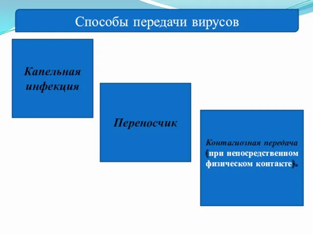 Способы передачи вирусов Капельная инфекция Переносчик Контагиозная передача (при непосредственном физическом контакте).