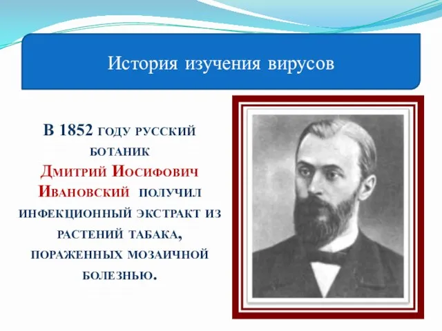 История изучения вирусов В 1852 году русский ботаник Дмитрий Иосифович