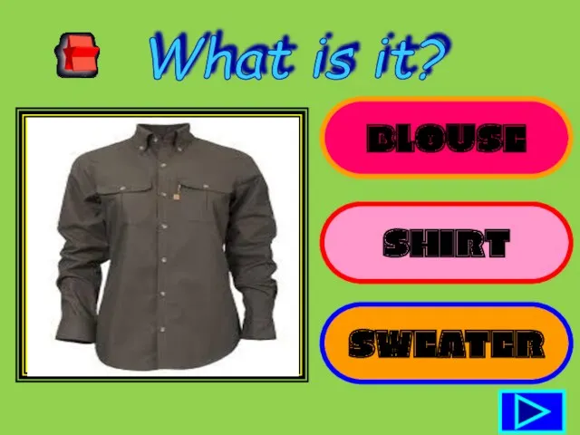 BLOUSE SHIRT SWEATER What is it?