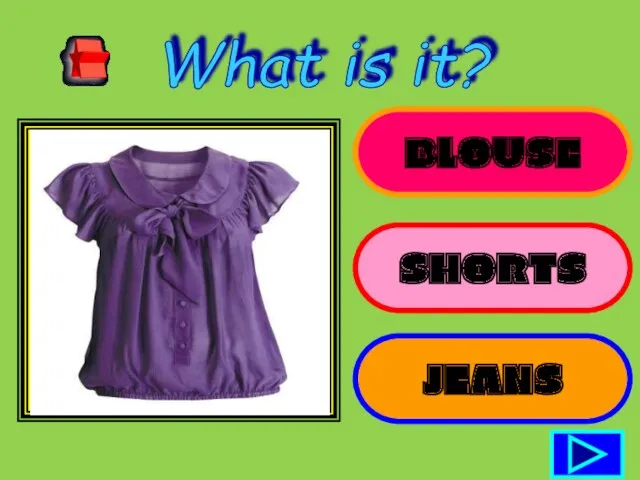 BLOUSE SHORTS JEANS What is it?