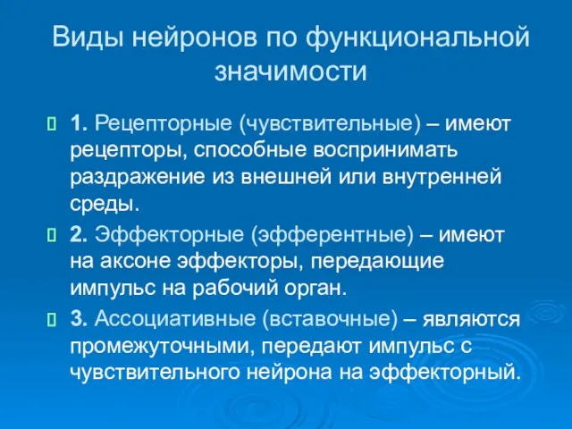 Виды нейронов по функциональной значимости 1. Рецепторные (чувствительные) – имеют