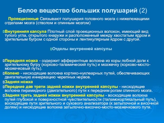 Белое вещество больших полушарий (2) Проекционные Связывают полушария головного мозга