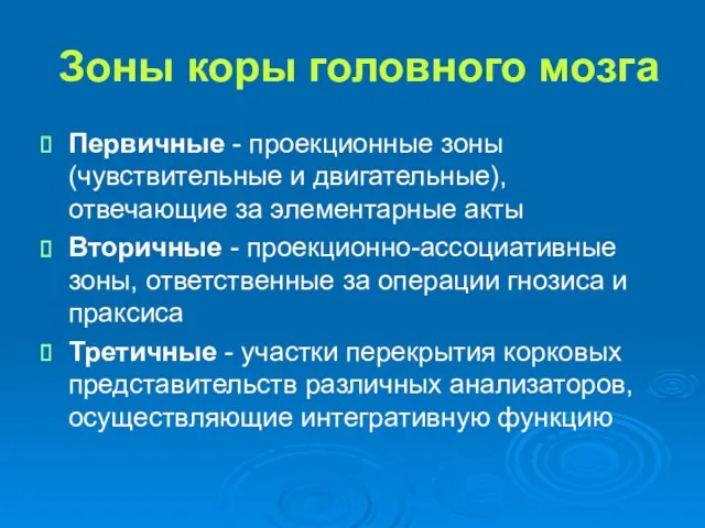 Зоны коры головного мозга Первичные - проекционные зоны (чувствительные и