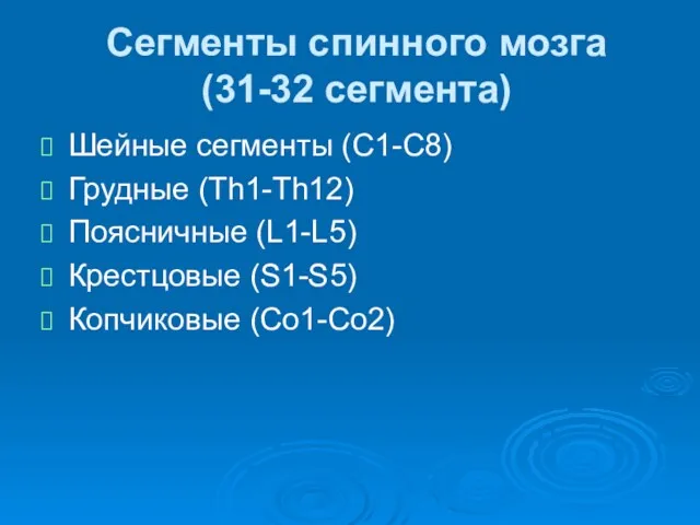 Сегменты спинного мозга (31-32 сегмента) Шейные сегменты (C1-C8) Грудные (Th1-Th12) Поясничные (L1-L5) Крестцовые (S1-S5) Копчиковые (Co1-Co2)