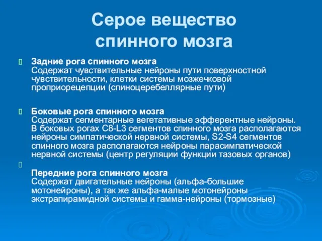 Серое вещество спинного мозга Задние рога спинного мозга Содержат чувствительные