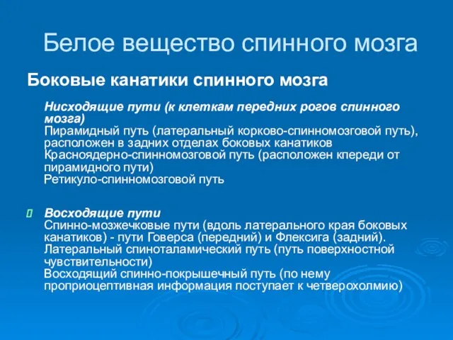 Белое вещество спинного мозга Боковые канатики спинного мозга Нисходящие пути