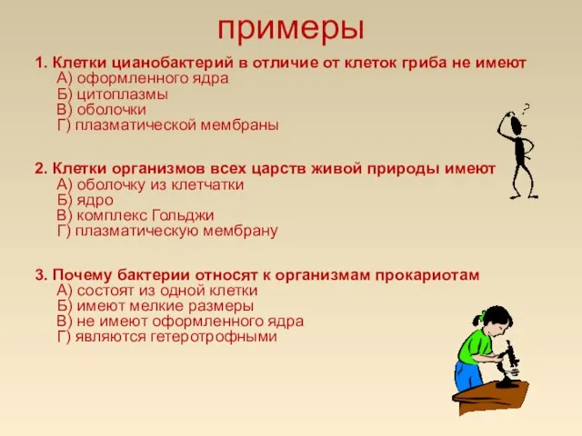 примеры 1. Клетки цианобактерий в отличие от клеток гриба не