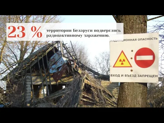 23 % территории Беларуси подверглись радиоактивному заражению.