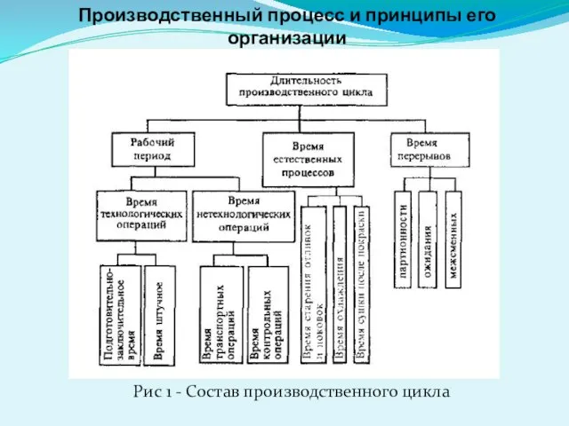 Рис 1 - Состав производственного цикла Производственный процесс и принципы его организации