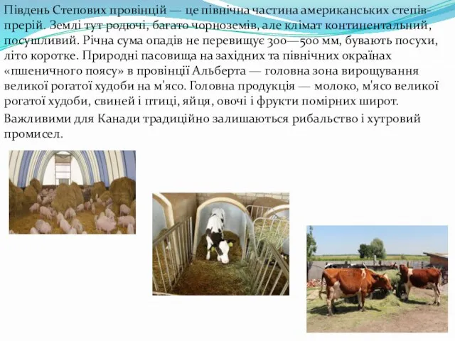 Південь Степових провінцій — це північна частина американських степів-прерій. Землі