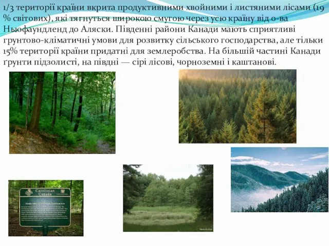 1/3 території країни вкрита продуктивними хвойними і листяними лісами (19