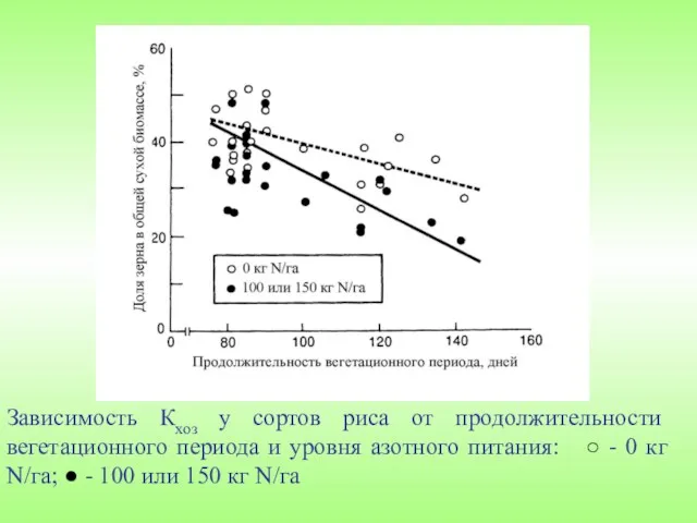 Зависимость Кхоз у сортов риса от продолжительности вегетационного периода и