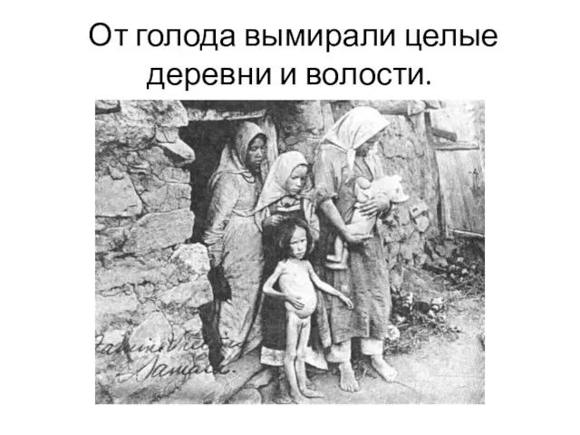 От голода вымирали целые деревни и волости.