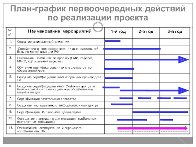 План-график первоочередных действий по реализации проекта