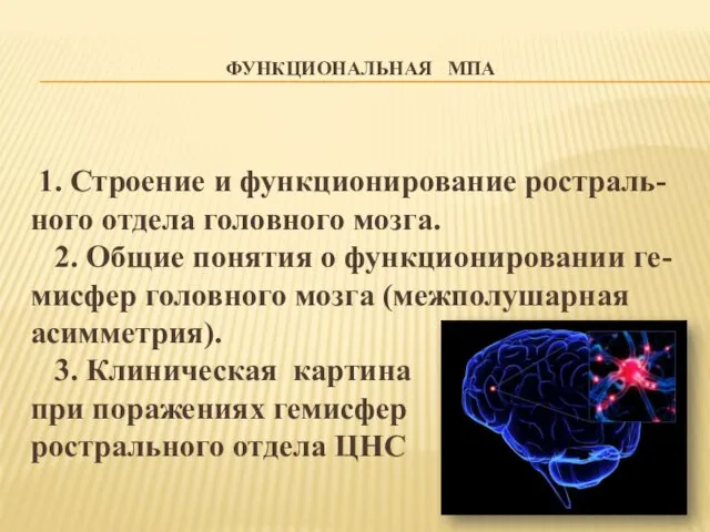 ФУНКЦИОНАЛЬНАЯ МПА 1. Строение и функционирование ростраль-ного отдела головного мозга.