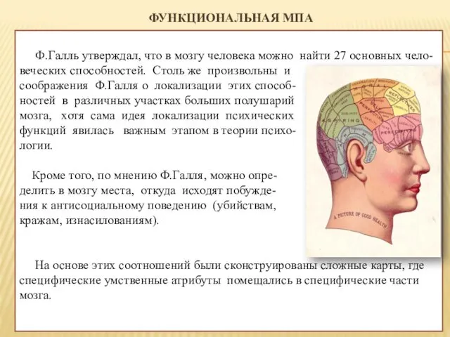 ФУНКЦИОНАЛЬНАЯ МПА Ф.Галль утверждал, что в мозгу человека можно найти