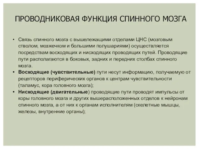 ПРОВОДНИКОВАЯ ФУНКЦИЯ СПИННОГО МОЗГА Связь спинного мозга с вышележащими отделами