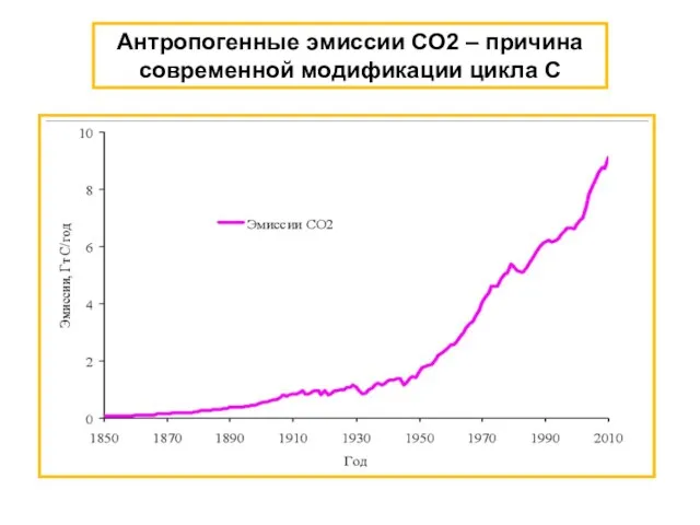 Антропогенные эмиссии CO2 – причина современной модификации цикла С