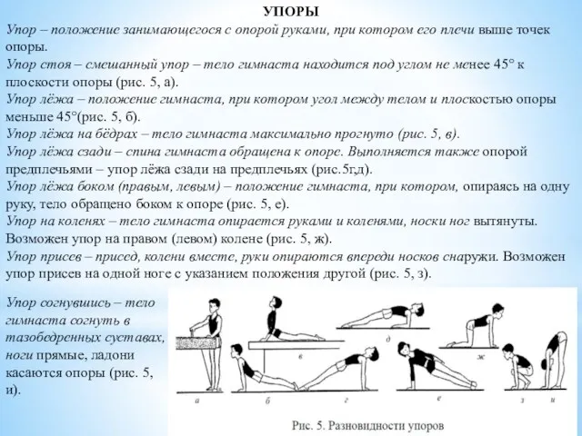 УПОРЫ Упор – положение занимающегося с опорой руками, при котором его плечи выше