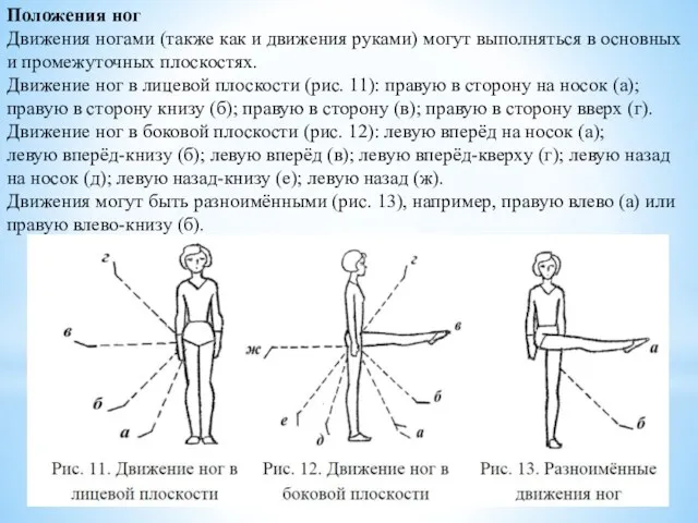 Положения ног Движения ногами (также как и движения руками) могут выполняться в основных