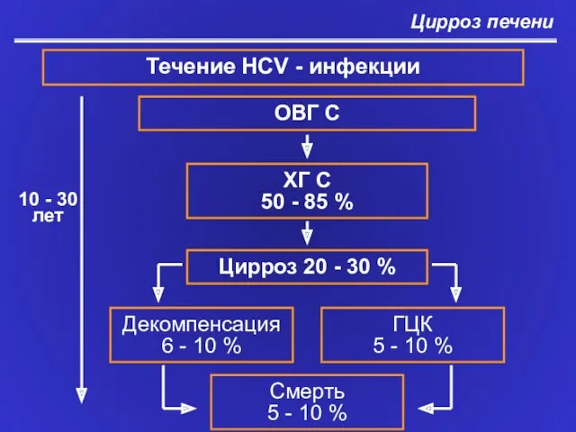 Цирроз печени Течение HCV - инфекции ОВГ C ХГ С