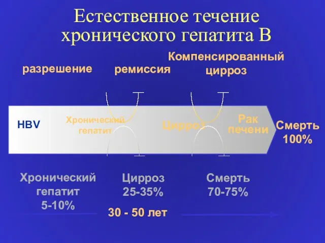 Естественное течение хронического гепатита В Хронический гепатит Цирроз HBV