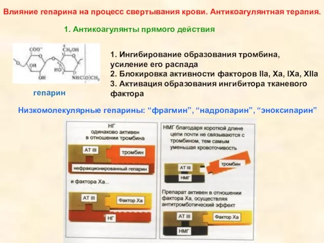 Влияние гепарина на процесс свертывания крови. Антикоагулянтная терапия. 1. Ингибирование