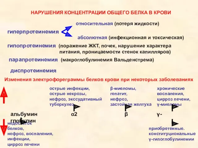 НАРУШЕНИЯ КОНЦЕНТРАЦИИ ОБЩЕГО БЕЛКА В КРОВИ гиперпротеинемия относительная (потеря жидкости)