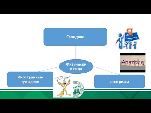 Физические лица Граждане Иностранные граждане апатриды